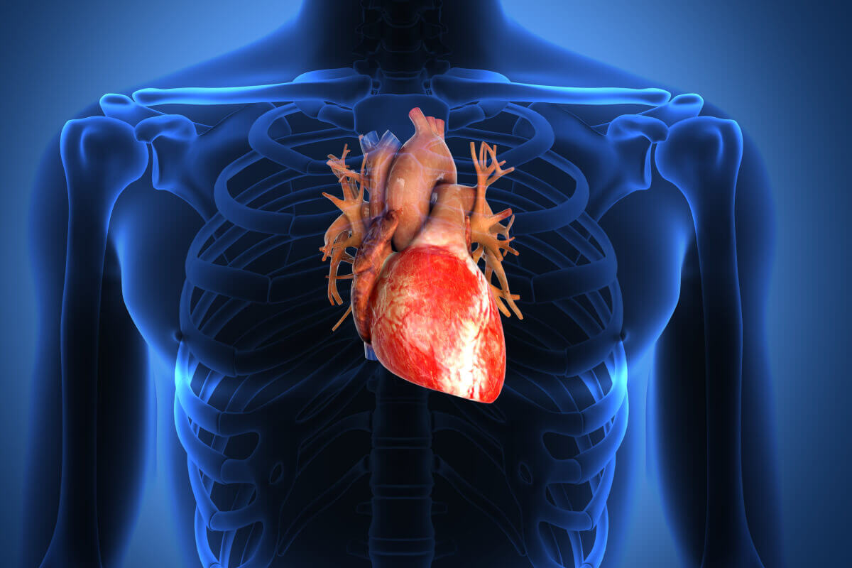 Herzchirugie